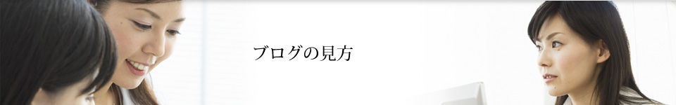 ブログの見方